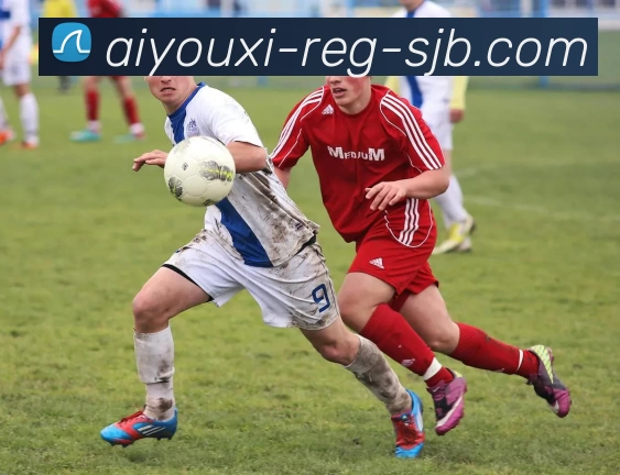 多媒体互动体验